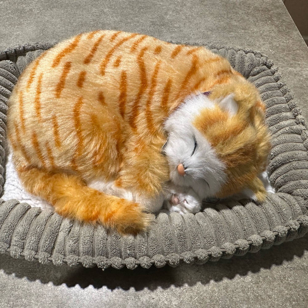 Perfect Petzzz Cozy Orange and White Cat Plush Bed